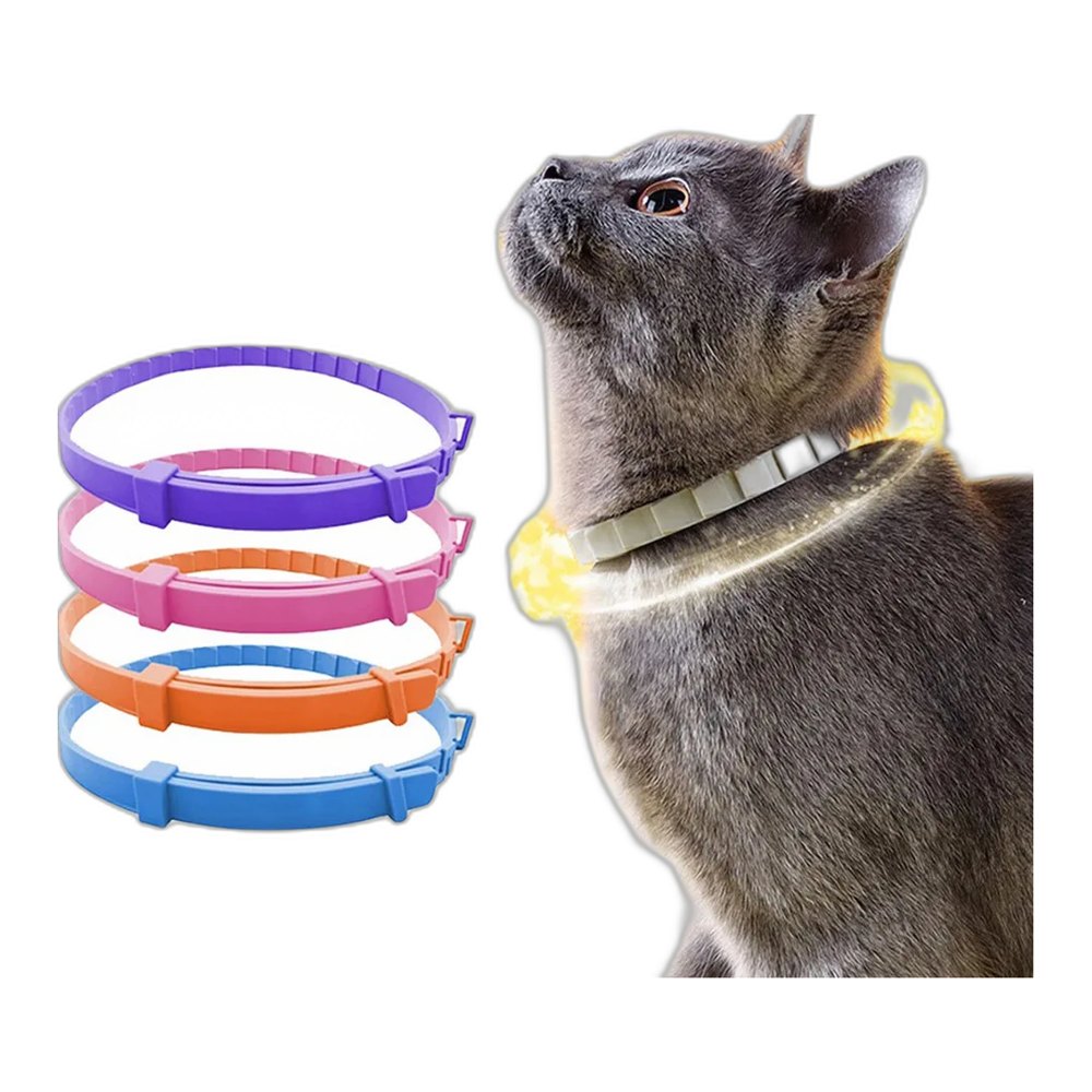Pet Supplies